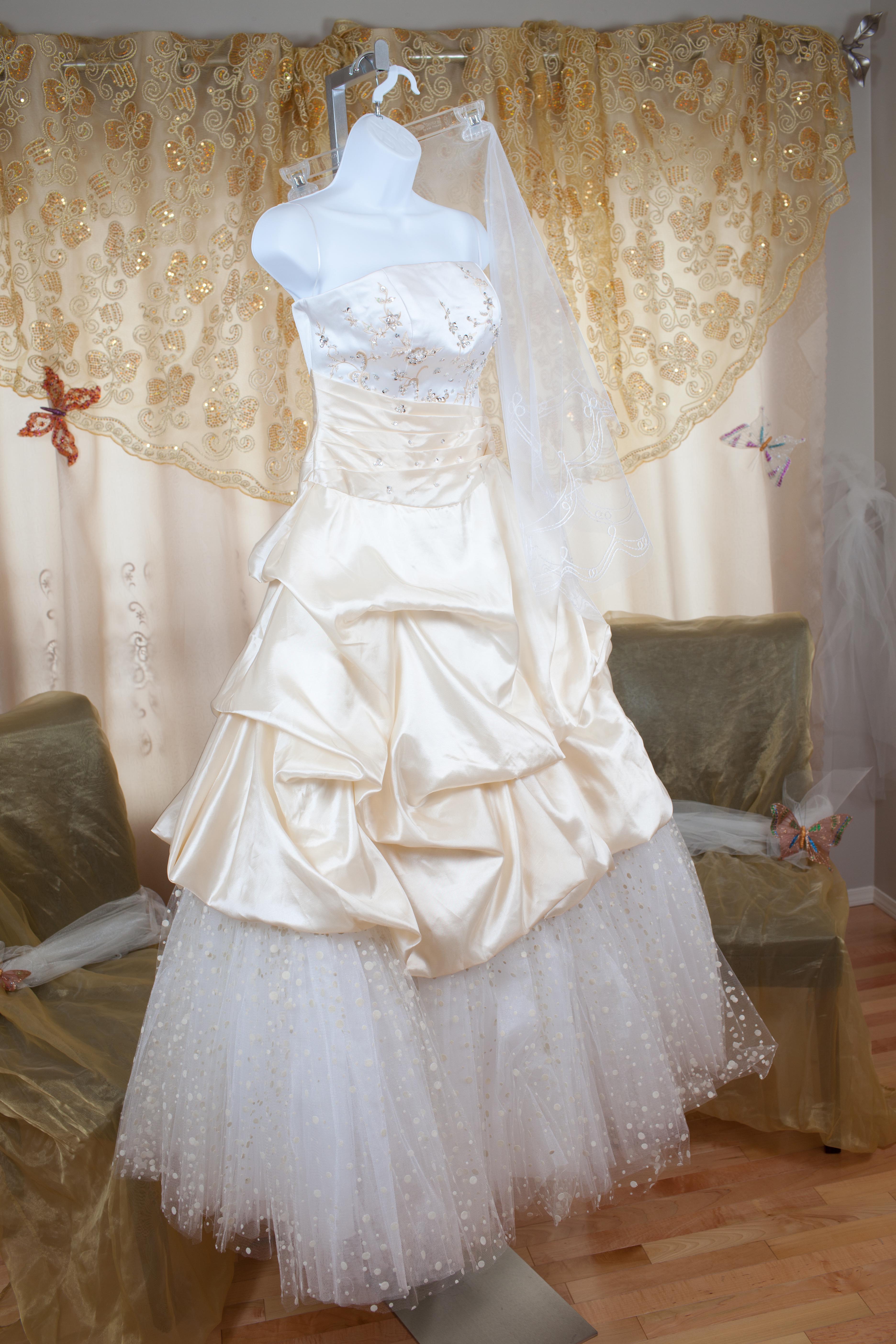 Wedding Dresses and Veils